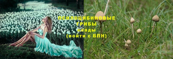 дмт Нефтекумск